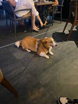 Two Chefs Bar Mexican & Italian