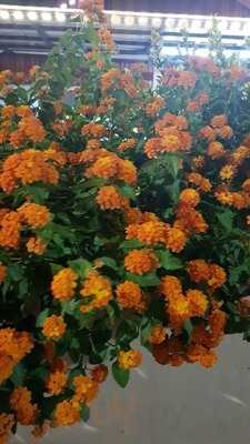 Balestier Market And Food Centre