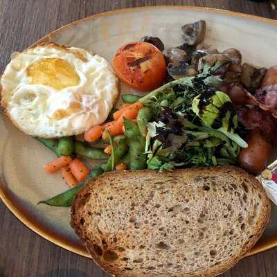 Canopy Garden Dining