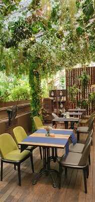 Botanico At The Garage