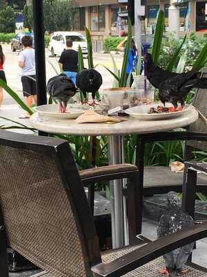 The Coffee Bean & Tea Leaf