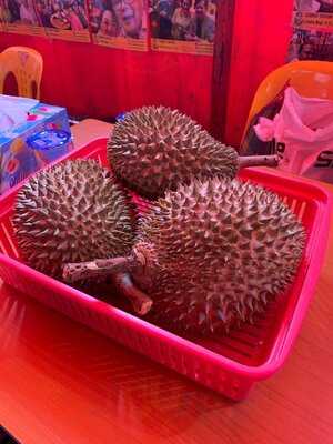 Combat Durian
