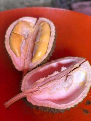 Combat Durian