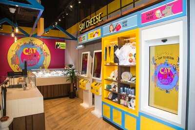 Cat & The Fiddle (clarke Quay Central)