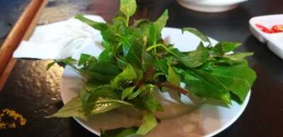 Pho 99 Vietnamese Delights