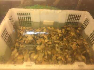 Ban Leong Wah Hoe Seafood