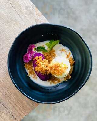 Dancing Fish Signature