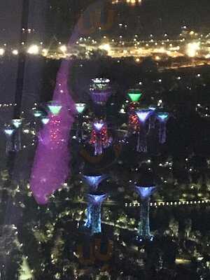 165 Sky Dining By Singapore Flyer