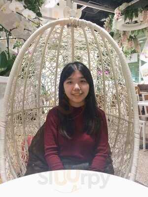 Hello Kitty Orchid Garden