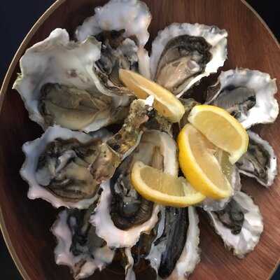 Oyster Co