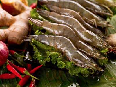 King's Laksa Steamboat