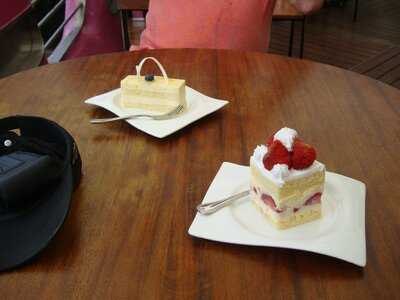 Tcc The Connoisseur Concerto