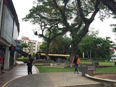 Park At Holland Village