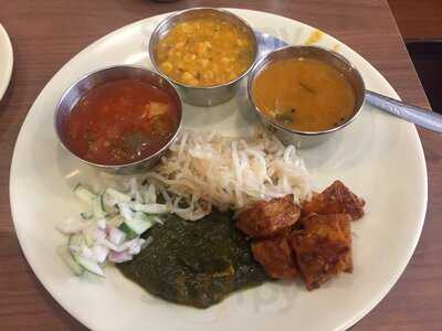 Madras Woodland Ganga