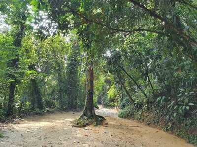 Singapore Polo Club Food And Beverage