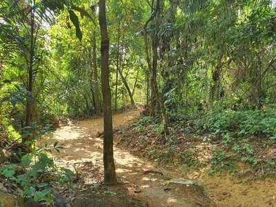 Singapore Polo Club Food And Beverage