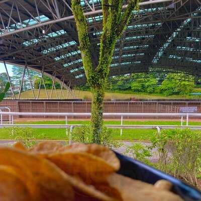 Cheval Cafe Bar Bistro