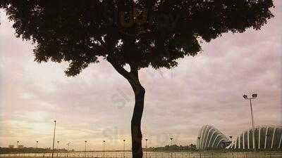 Royal Palm - Clarke Quay