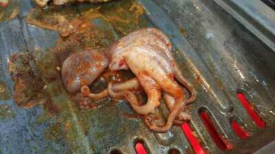 Daessiksin Big Iron Chef By Mof