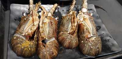 Coca Singapore - Suntec City