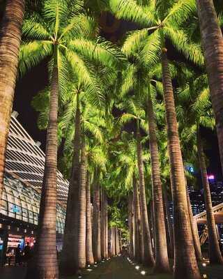 The Coffee Bean And Tea Leaf