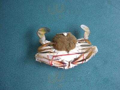 Tekong Seafood Rest.