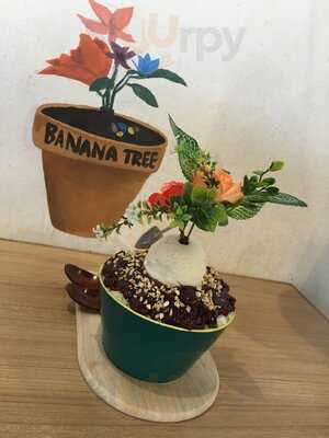 Banana Tree