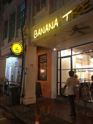 Banana Tree