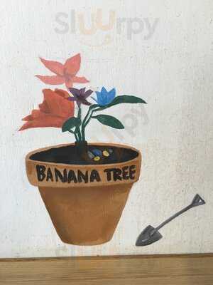 Banana Tree