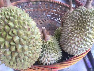 Ah Lan's Durian