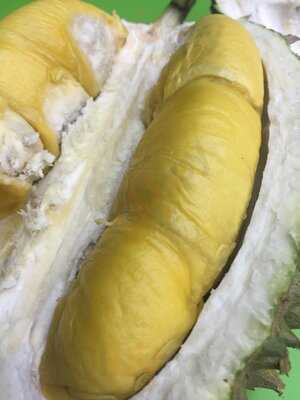 818 Durians & Pastries