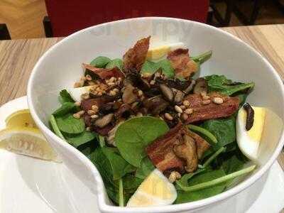 House Of Robert Timms