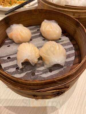 Treasures Yi Dian Xin