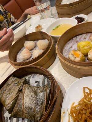 Treasures Yi Dian Xin