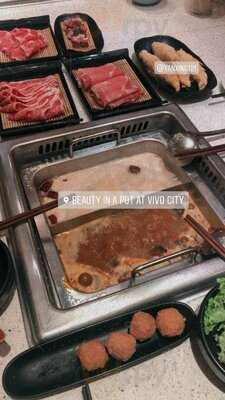 Beauty In The Pot (vivocity)