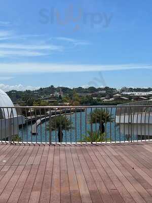 Beauty In The Pot (vivocity)