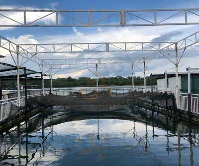 Smith Marine Culture And Trading Pte Ltd