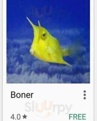 Niggi's The Cheese Prata Shop