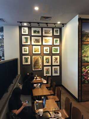Starbucks The Cathay