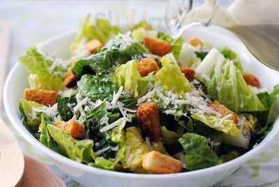 Lazy Lizard The Promenade