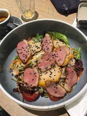 Dutch Colony Coffee Company