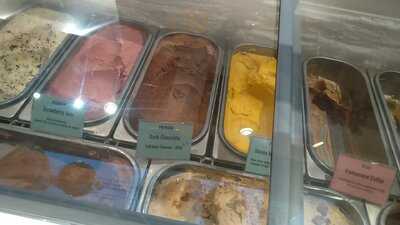 The Dancing Elephant