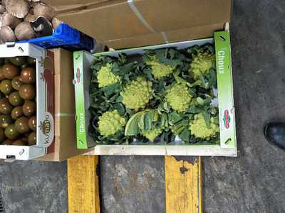 Miao Shung Vegetarian Food