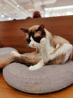 Hong Kong Mong Kok Tim Sum