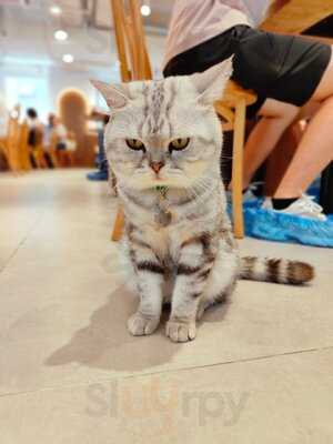 Hong Kong Mong Kok Tim Sum