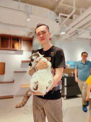 Hong Kong Mong Kok Tim Sum