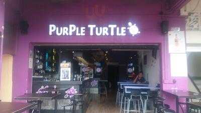 Purple Turtle