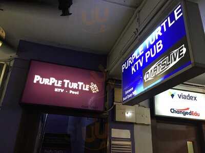 Purple Turtle