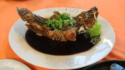 Bottle Tree Restaurant