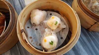 Bao Today